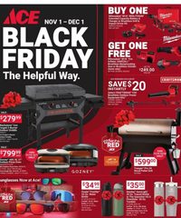 Ace Hardware Black Friday 2025