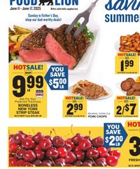 Food Lion Weekly Ad June 11 - 17, 2025
