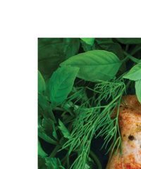 Fresh Thyme Weekly Ad October 22 - 28, 2025