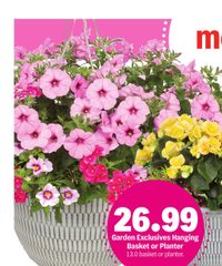 Meijer Weekly Ad show mom shes special April 29 - May 5, 2026
