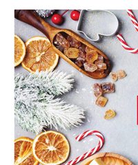 Winn-Dixie Ad In-Store Flyer December 3 - 16, 2025