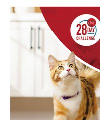 Winn-Dixie Ad In-Store Flyer February 18 - March 3, 2026