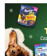 Winn-Dixie Ad In-Store Flyer November 26 - December 9, 2025