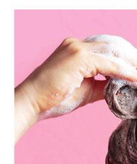 Winn-Dixie Ad In-Store Flyer October 29 - November 11, 2025